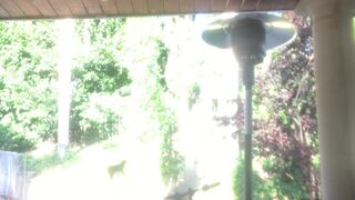 Jaylene Rio aka jaylenerio onlyfans 5-02-2022 performance webcam masturbation