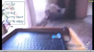 Kendall Tyler chaturbate Luxurious curvy masturbates with sex toy cap