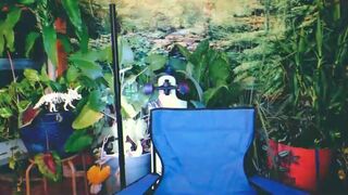 yoursecretgirlfriend11 chaturbate slut pussy fingers in pussy