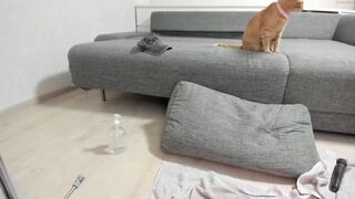 honey_sunshine chaturbate 15-02-2022 performance Latest broadcasting