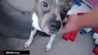 holihurricane chaturbate Hot babe masturbates with sex toy