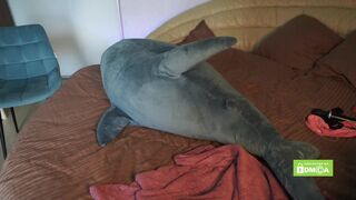 pussy_m0ney_weed chaturbate Erotic shlendra was long-awake-and finally decided to jerk off her shaved pussy