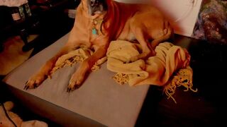 naomidee 12 january 2022 Latest show