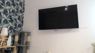 sphynx_lions  curly podrachuha