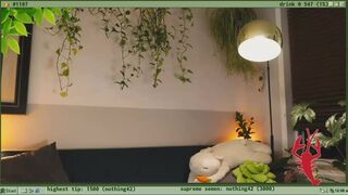 terraforest Great bitch wore a mask and fucks with a toy