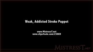 clips4sale Mistress T - weak addicted stroke puppet 720p