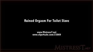 clips4sale Mistress T - ruined orgasm for toilet slave 720p