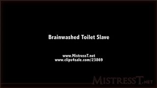 clips4sale Mistress T - brainwashed toilet slave 720p