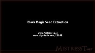 clips4sale Mistress T - black magic seed extraction 720p