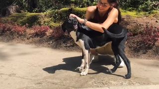 Cyncyncyn video output