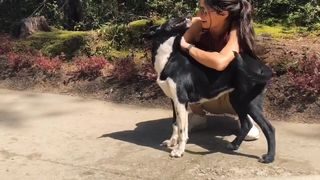 Cyncyncyn video output