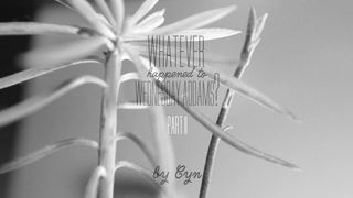 Cyncyncyn SpookyZone Wednesday Today Pt 2 BW 1080p