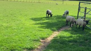 Savana Sky aka thatslutsav onlyfans 8 july