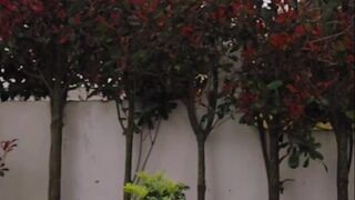 Liliana aka wildtequilla onlyfans 19-08-2022 Latest Porn