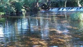 Liliana aka wildtequilla onlyfans  fucks herself hard