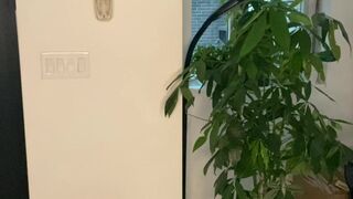 Madison Winter aka MadiTown onlyfans 10-01-2022 latest may camrecords