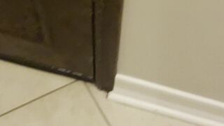 itskhloeexoxo 28_03_2022 stream porn