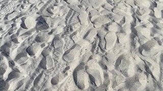 Francia James aka francety onlyfans pleasant babe touches sexual lips with fingers