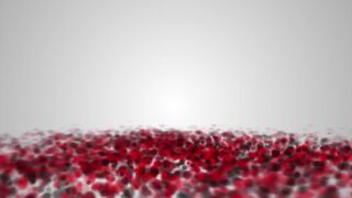 Ashley Lucero onlyfans 22-03-2022 latest may camrecords