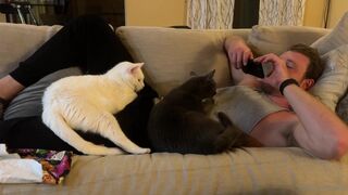 fitbryceadams onlyfans 8 february 2022 latest camshow porn