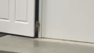 fitbryceadams onlyfans busty skin fucks pussy dildo