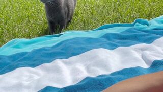 fitbryceadams onlyfans cute doll doll masturbates pussy