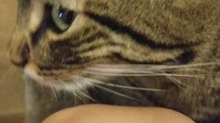 Ember Snow aka embersnow onlyfans ticket video from 12-08-2022 free watch