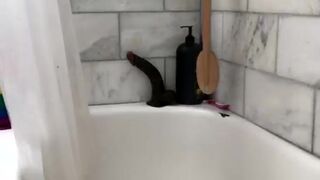 Bria Backwoods aka briabackwoods onlyfans 18 february 2022 latest camshow porn