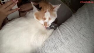 babygabii_ chaturbate 13-Nov-2022