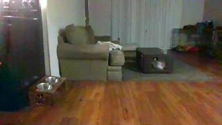 littleone491 chaturbate premium show april-5-2023 camrecord