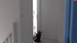 Bibixxx - Unfassbar - War mein Vater etwa der Nikolaus 06.12.15