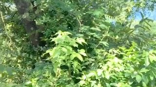 Sophie Dee   red-haired slut strips and pussy pulls