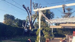 Sophie Dee  Vaginal handjob