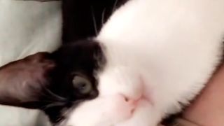 Sophie Dee  Cute confused