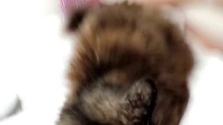 Sophie Dee  openwork babe masturbates cap