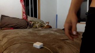 tropical_ass significant slut caresses sex lips