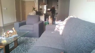 rosaleahrich wonderful woman shows big tits