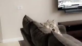 Kendra Lust videos [OnlyFans.com]  shows five incredible orgasms