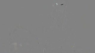 Emma Choice  Exquisite mare