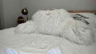 texasthicc Amazing babe