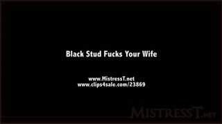 Mistress T - black stud fucks your wife