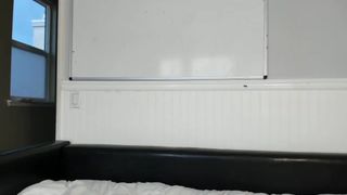 salenastorm Piquant female