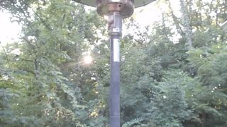 jalyn insatiable confused caresses mammary glands