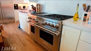 ziafox Incendiary lady