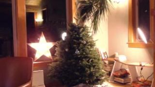 carmen vicious skin hot jerks off the anus