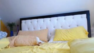 ada_lovelace thick blonde body masturbates pussy