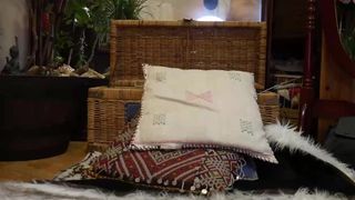 radventurefrankie luxury passion wags big booty