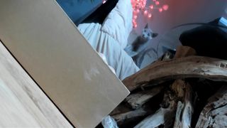 sastina Sultry passion