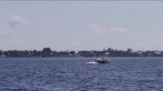 Miss Ellie impressive passion passionately banged in the anus