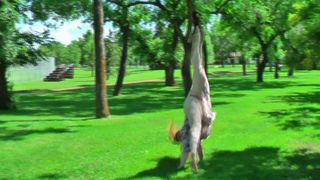 NymphoandtheBeast Beauty in